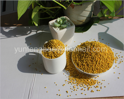 100% natural pollen Human consumption pure rape bee pollen