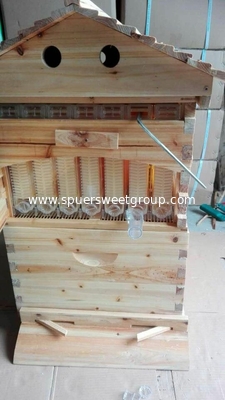 China Supplier Flow hive automatic flow honey,honey bee hive