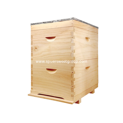 20 frame/box 2 Layers Full Depth Australia Langstroth Beehive with 2 bee boxes made from New Zealand Pine