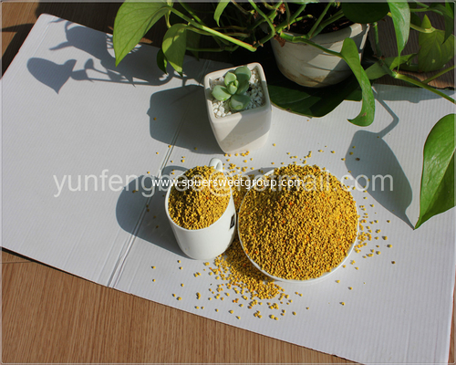 High Quality Nature and Fresh Organic Cfree Rape Bee Pollen Manufacturer