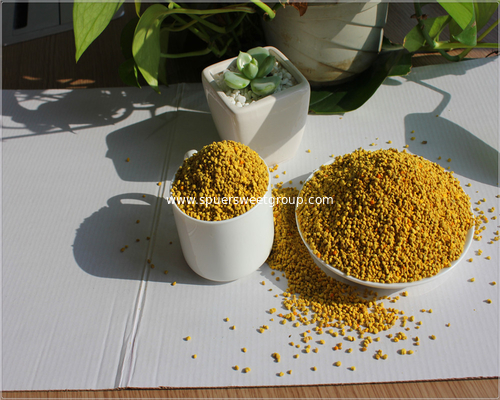 China Qingdao Origin Fresh and Natural High Protein Rape Bee Pollen to Korea