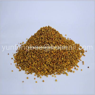 Factory produce 100% natural unprocessed bee pollen grain