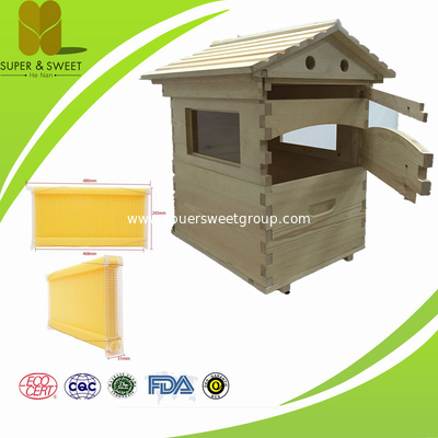 China Manufacturer Automatic 7 frames langstroth Flowing Honey Hive