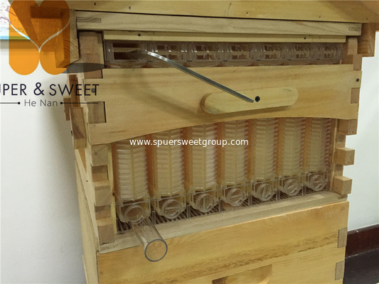 China Manufacturer Automatic 7 frames langstroth Flowing Honey Hive