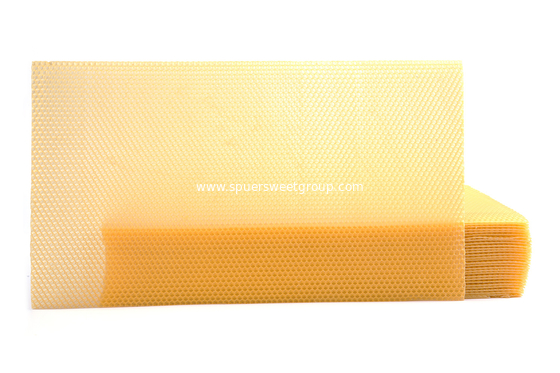 Wholesale beekeeping supplies plastic&beeswax honey comb foundation sheet