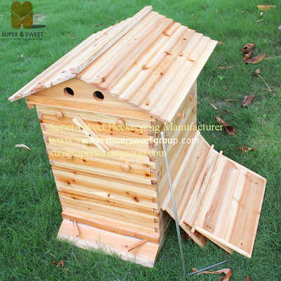 China Factory Supply High quality Plastic Automatic Hive Frames Vendor