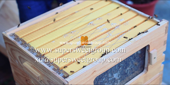 New Automatic Honey Outflow Beehive With Frames,Langstroth Beehive,Plastic Beehive Frame