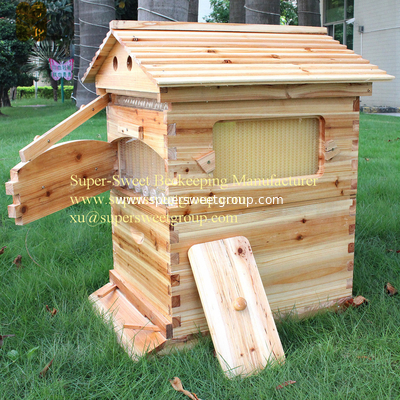 China beekeeping tools honey self-flowing bee hive/beehive with 7pieces frames