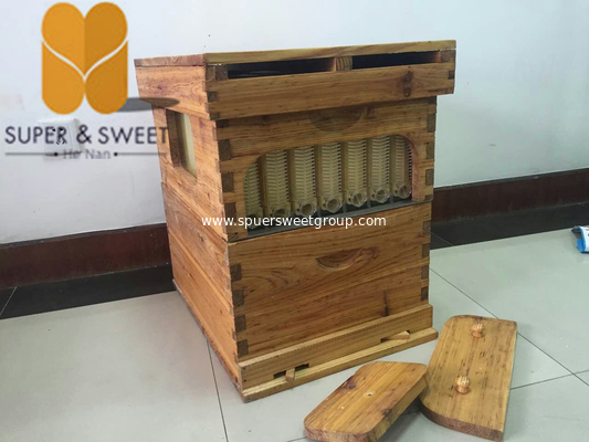 Apiculture tools langstroth Beehive with automatic Flowing honey frames