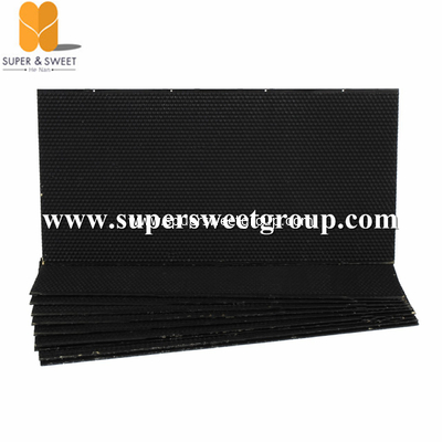 Tool Black Plastic Nest Frame with Comb Foundation Apis Mellifera 