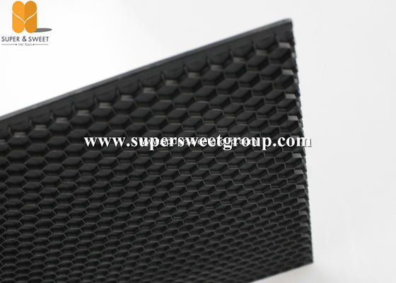 Tool Black Plastic Nest Frame with Comb Foundation Apis Mellifera 