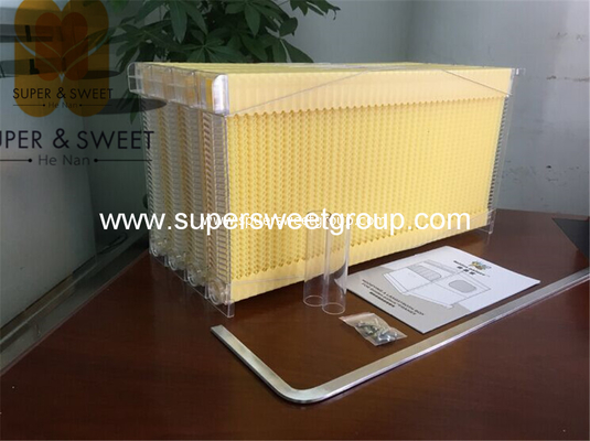 Plastic Self-flowing Honey Frames Frames Producer&Supplier