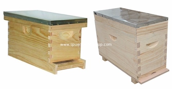 beekeeping manufacturers bee wooden Nuc box beehive for sale