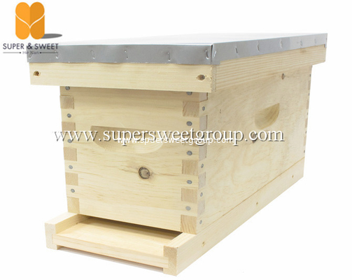 China Beekeeping Beehive Equipment - Wood NUC Bee Box - Corrugated pp nuc box for queen