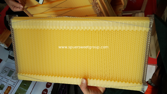 Langstroth Auto flow honey plastic bee hive frame for flow hive