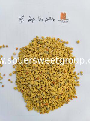 Bee Farm Wholesale Bulk Organic Pure Natural Food Grade Improve Immune Anti-aging Cosmetology Fresh Rape Honey Bee Flower Pollen
