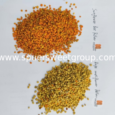 100% natural pollen Human consumption pure rape bee pollen