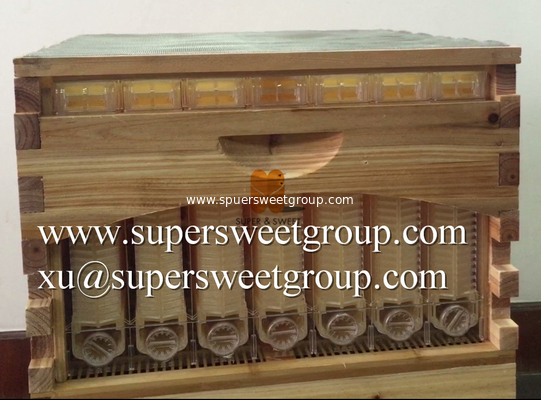 Auto Honey Flow Bee Hive Plastic Frame Food Grade Flow Beehive Frame Price