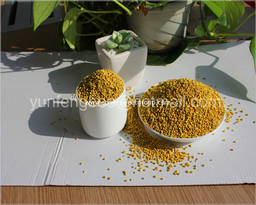 China Fresh Rape Raw Wild-Crafted Bee Pollen Bulk Packing Supply