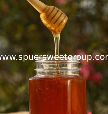 Super Sweet High Quality Pure Natural Bee Sidr/sider/jujube Honey Bulk Price Raw Bee Honey From China  Packaging for Healthcare