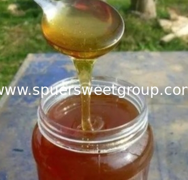 Super Sweet High Quality Pure Natural Bee Sidr/sider/jujube Honey Bulk Price Raw Bee Honey From China  Packaging for Healthcare