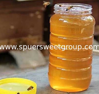Unprocessed Raw nature Organic Wildflower Honey Pure Forest Farm Fresh high Quality Wildflower Honey