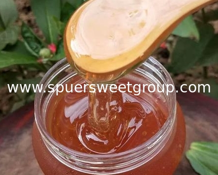 Wholesale Natural Jujube Honey Best Organic Sidr Honey From China Hot Selling Daily Health Food at Bulk Price