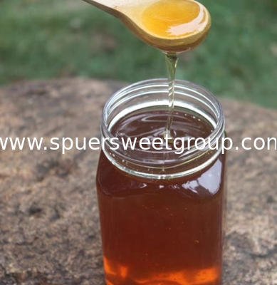 Wholesale Natural Jujube Honey Best Organic Sidr Honey From China Hot Selling Daily Health Food at Bulk Price