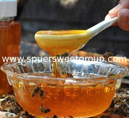 Wholesale Natural Jujube Honey Best Organic Sidr Honey From China Hot Selling Daily Health Food at Bulk Price