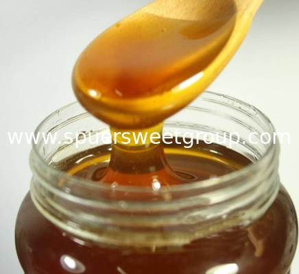 Wholesale Natural Jujube Honey Best Organic Sidr Honey From China Hot Selling Daily Health Food at Bulk Price