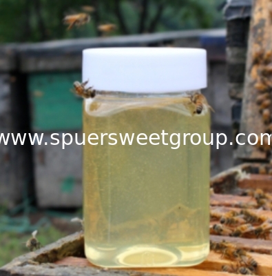 Bulk Price Pure White Acacia Honey China Factory Supply Organic Natural Raw Bee Honey Bottle Package Halal /kosherCertified