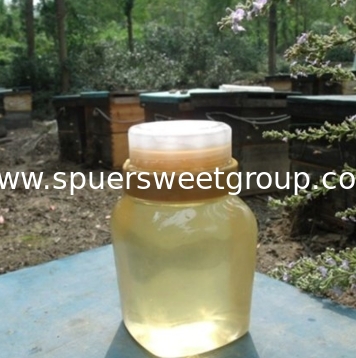 Great China Acacia Honey Pure Nature Raw Bee Honey From 100% Flower Wholesale Quantity Bulk Price  Pack Bottle Honey Package