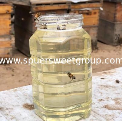 290Kg Bulk Drum Organic Acacia Honey Pure Natural Halal Certified Factory Direct Price China Wholesale Acacia Honey