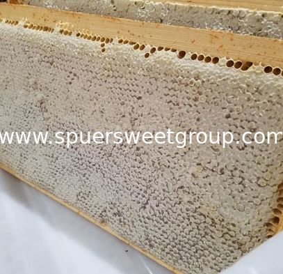 2025 New Season 100% Pure Natural Raw Organic Wildflower Comb Honey One Whole Frame Fresh Premium Bee Honeycomb