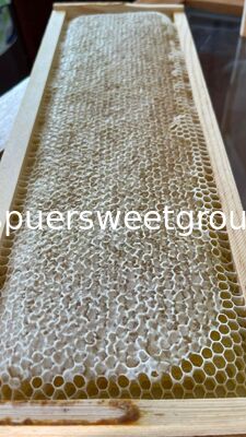 Premium Quality 100 Pure Natural Raw Honeycomb Fresh Comb Honey Bulk Bag 2kg Beehive with Whole Frame Edible Sweet Honey