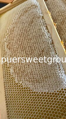 Premium Raw Pure Bee Honeycomb with Whole Frame 2kg 100 Percent Natural Food Grade High Quality Wholesale Natural Origin