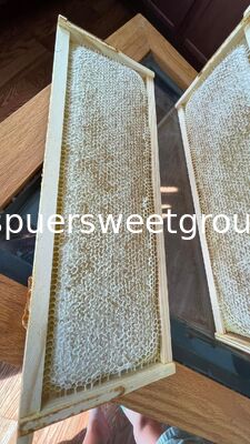 Premium 100 Percent Pure Raw Edible Honeycomb Natural Bee Honey with Whole Frame 2kg for Wholesale Bulk Supply High Quality