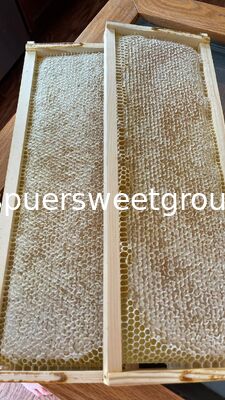 Best Quality Natural Raw Honeycomb Edible Wildflower Honey 100% Pure Bee Farm Halal ISO Certified Bulk 2kg Whole Frame Beehive