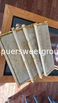 Premium Raw Pure Bee Honeycomb with Whole Frame 2kg 100 Percent Natural Food Grade High Quality Wholesale Natural Origin
