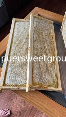 Best Quality Natural Raw Honeycomb Edible Wildflower Honey 100% Pure Bee Farm Halal ISO Certified Bulk 2kg Whole Frame Beehive