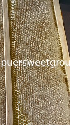 100% Organic Pure Natural Raw Honeycomb Bulk Wholesale Fresh Comb Honey with Whole Frame From China Wild Bees Premium Quality