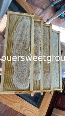 Best Quality Natural Raw Honeycomb Edible Wildflower Honey 100% Pure Bee Farm Halal ISO Certified Bulk 2kg Whole Frame Beehive