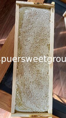 Premium Wholesale All Natural Raw Honeycomb 100 Pure Edible Beehive Honey Comb From Wild Multiflower Bee Honey with a Frame
