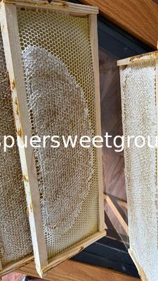 Premium Wholesale All Natural Raw Honeycomb 100 Pure Edible Beehive Honey Comb From Wild Multiflower Bee Honey with a Frame