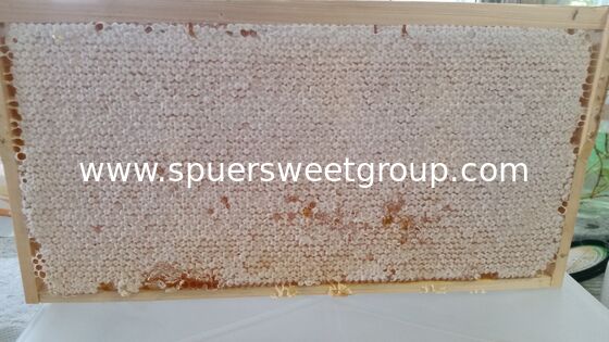 Raw Edible Honeycomb Natural Unfiltered Honey 100% Fresh Multiflower Bulk Organic Comb Honey with Whole Frame Wholesale Supplier