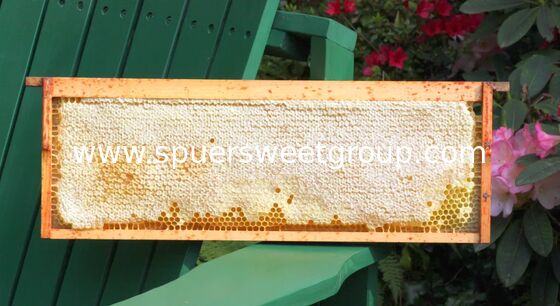 2025 New Season 100% Pure Natural Raw Organic Wildflower Comb Honey One Whole Frame Fresh Premium Bee Honeycomb