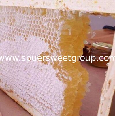 Best Selling 100% Pure Natural Raw Organic Multi-flower Comb Honey Whole Frame Bee Hive Wholesale Bulk Factory Direct