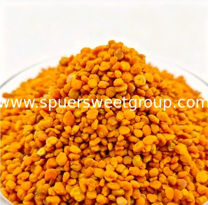 Wholesale Top Quality 100% Pure Natural Fresh Tea Bee Pollen Granules Food Grade HALAL Bulk Factory Supply for Health Supplement
