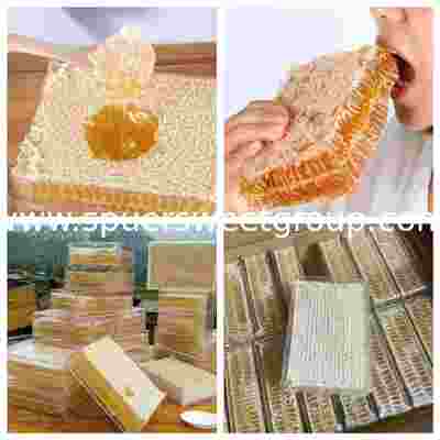 Wholesale Premium 100% Pure Natural Raw Edible Honeycomb 500g Box HACCP Certified Gourmet Superfood for Bakery Retail