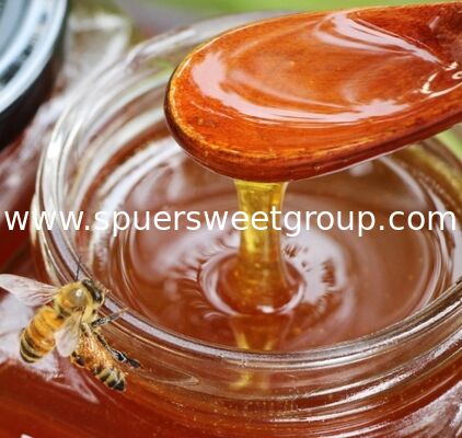Wholesale OEM Pure Raw Natural Jujube Sidr Honey Halal Certified AA Grade Bulk 500g Bottle 28kg Package Sweetener